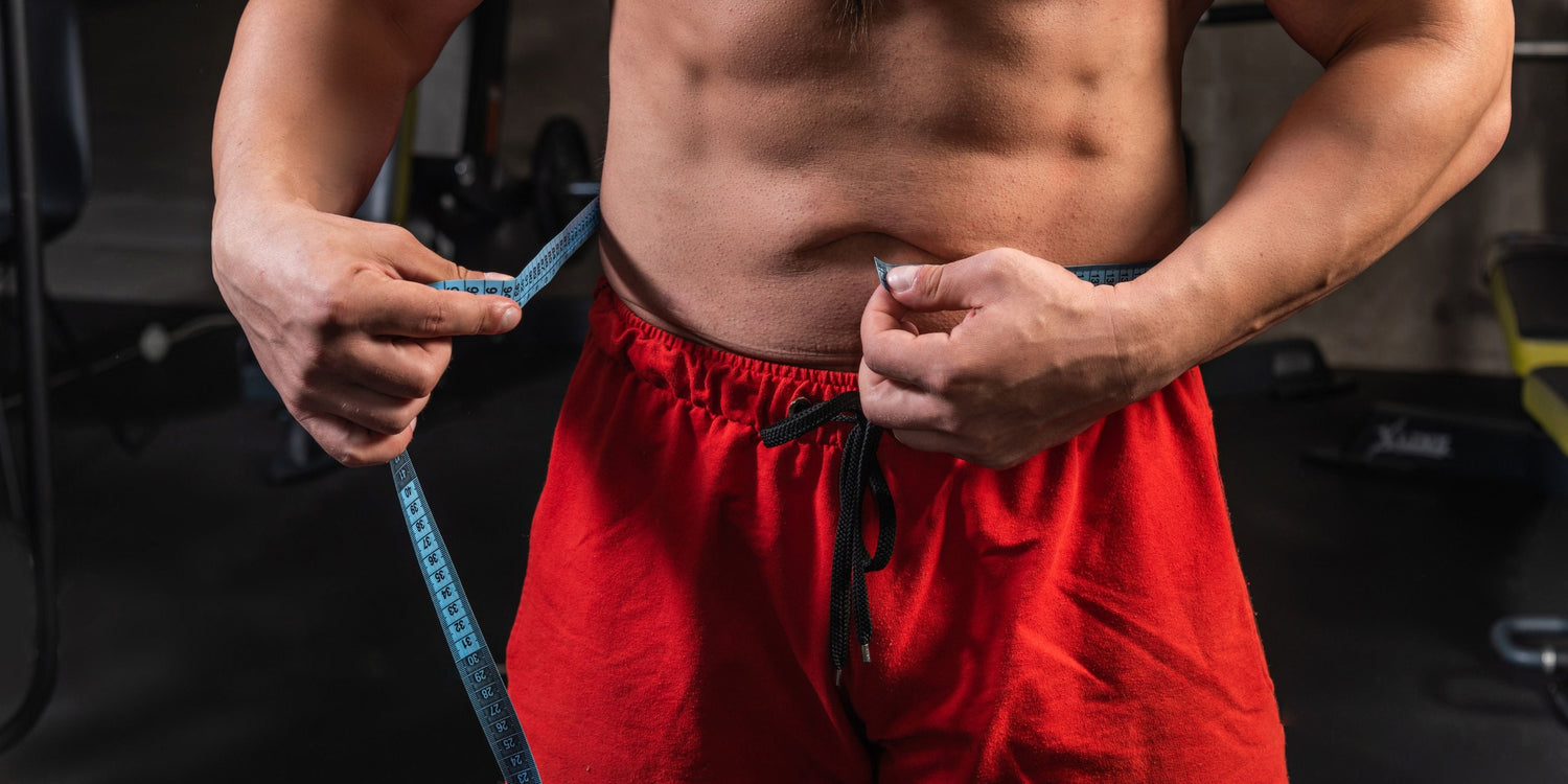 Will Creatine Burn Belly Fat? What Science Really Says About Fat Loss and Creatine